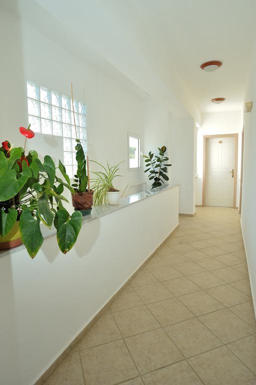 Kassiani Studios Plakias Værelse billede